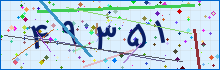 کد امنیتی