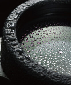 نمای لنزهای ضد بخار و ضد آب دوربین شکاری ونگارد مدل Endeavor ED II 8x32